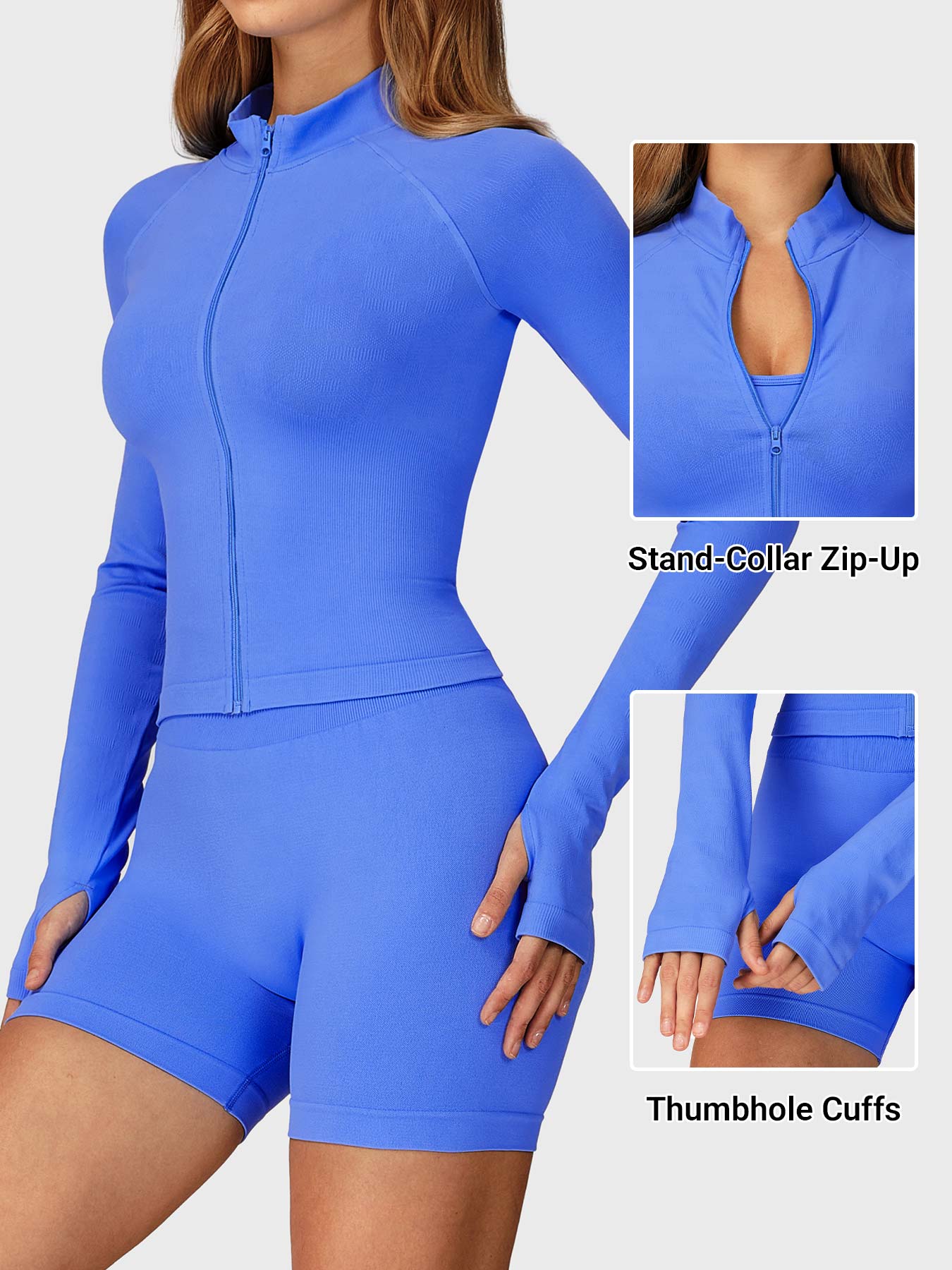 RoyalBlue