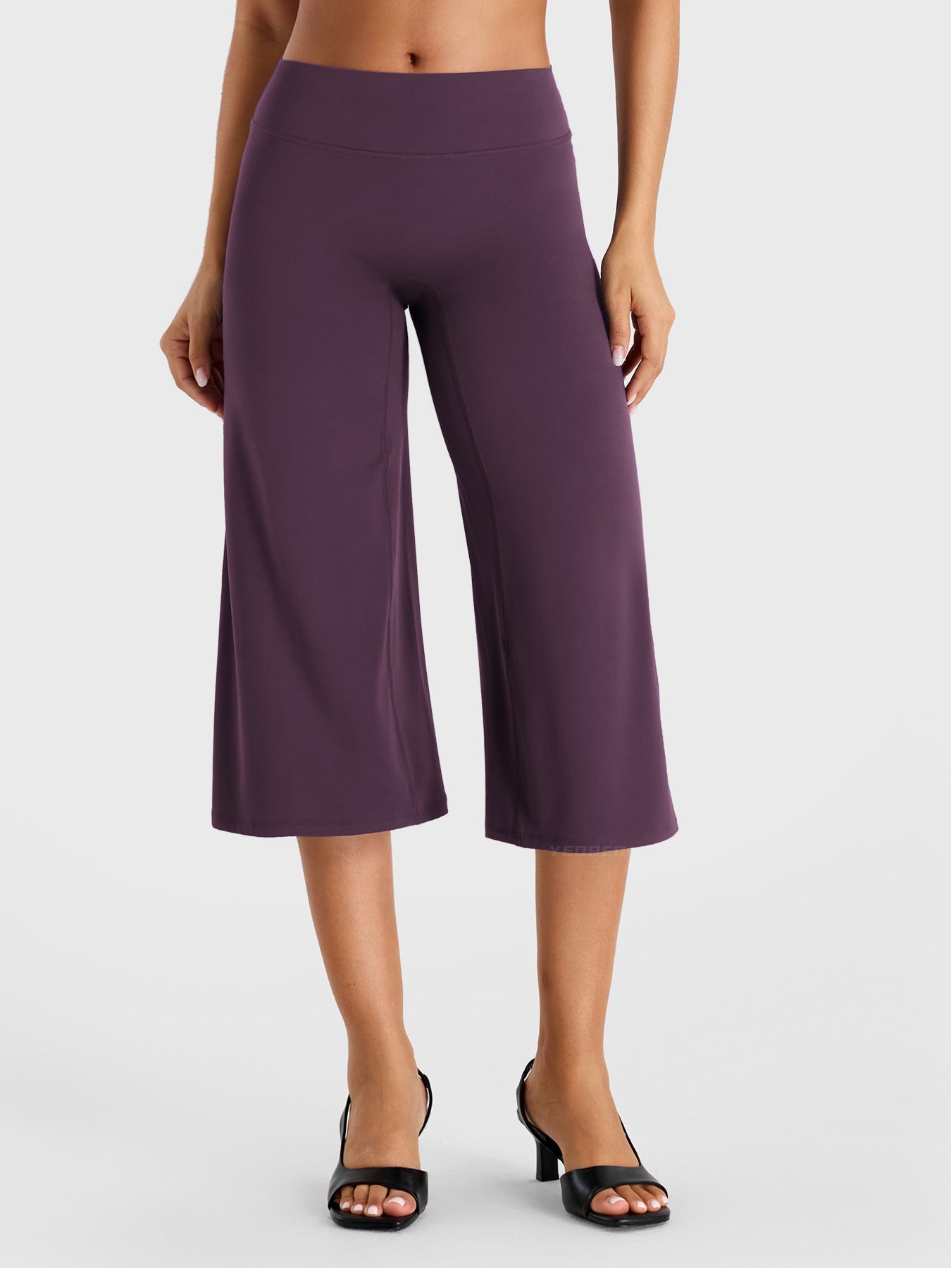 BlackberryPurple